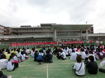 小さくてスイマセン(122KB)