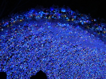 イルミネーション③(256KB)